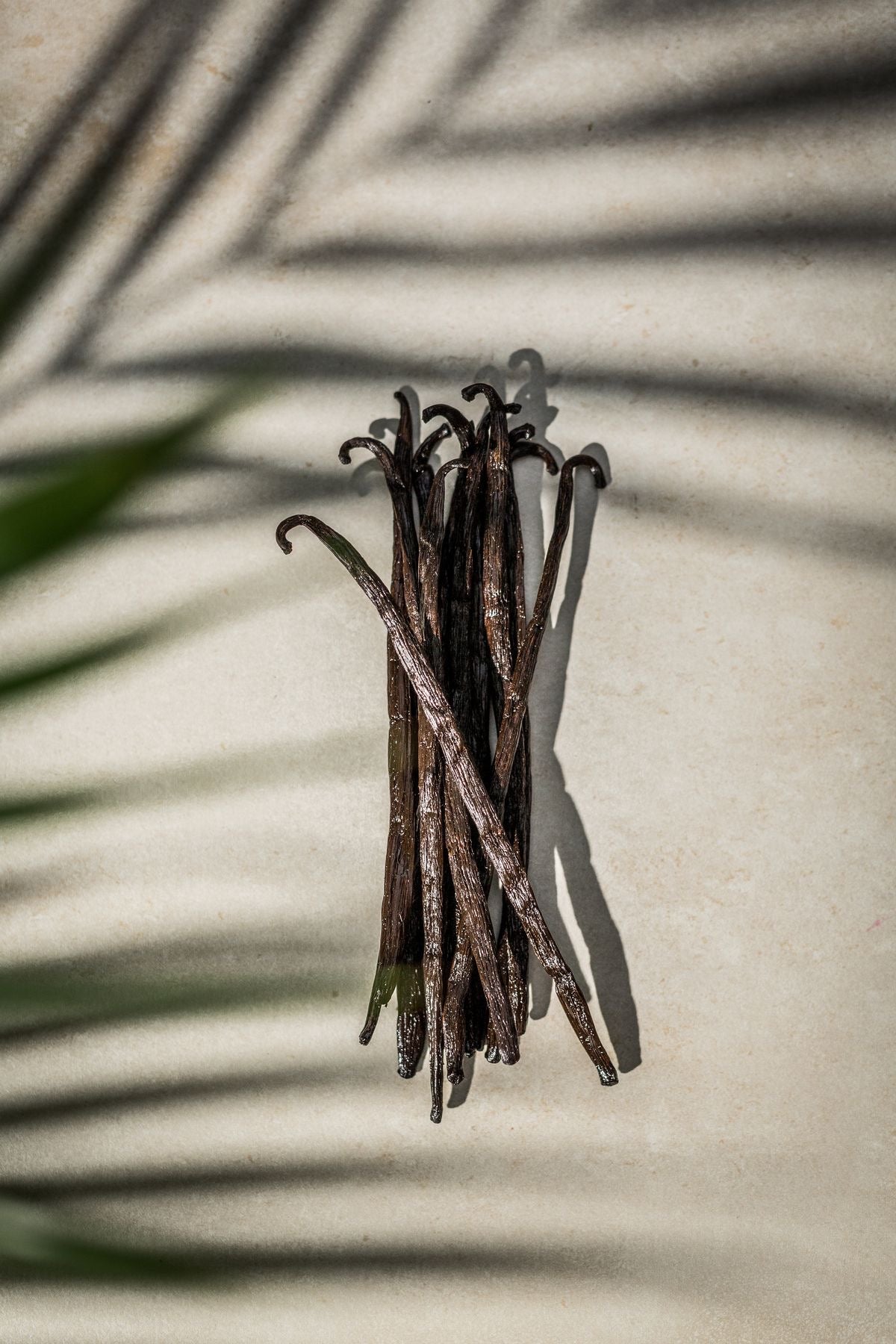 Vanilla Tobacco 30cl candle